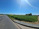 Działka budowlana Śrem, - 4