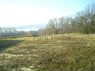 Działka inwestycyjna Dolsk, - 3