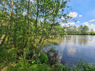 Działka rolna Wydorowo gm. Śmigiel, - 2