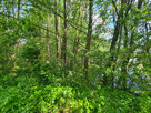 Działka rolna Wydorowo gm. Śmigiel, - 6