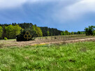 Działka usługowa Trzciel, - 2