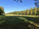 Działka inwestycyjna Suchleb gm. Lipinki Łużyckie, - 3