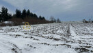 Działka usługowa Głogów, - 3