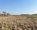 Działka inwestycyjna Śmigiel, - 4