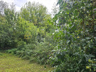 Mieszkanie Brodnica, - 12