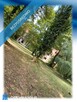 Osiedle mieszkaniowe / inwestycja / deweloperskie - 1