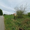 Działka Żarnów Żarnów - 3