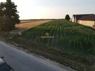 Działka Rusinów Wola Gałecka - 8