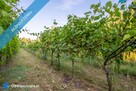 Dom mieszkalno-usługowy wraz z ośrodkiem wypoczynkowym - 3