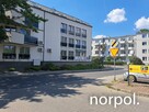 Lokal użytkowy koło Biedronki z dobrą ekspozycją - 14