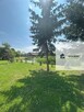 DOM Z ZABUDOWANIAMI I DUŻĄ DZIAŁKĄ – BUSZKOWICE! - 10