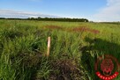 Działka nad jeziorem blisko morza Łabusz Koszalin - 1