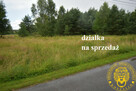 Wyszewo duża działka z warunkami zab. - 5