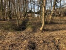 Koszalin ul. Miętowa duża działka budowl. 2658 m2 - 6