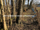 Kretomino działka budowlana 2001 m2 - 4