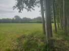 Działka budowlana Puszcza Mariańska - 1