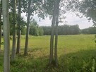 Działka budowlana Puszcza Mariańska - 4