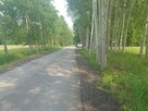 Działka budowlana Puszcza Mariańska - 6