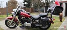 Kawasaki Vulcan 800 Classic - 2
