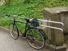 Rower holenderski - 3