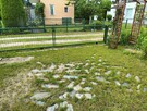 Działka rekreacyjna ROD Sasanka w Bydgoszczy ul. Łochowska ! - 6