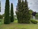 Ogródek działowy ROD Złote Piaski - 3
