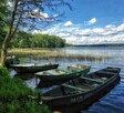 Wynajmę domek letniskowy - 10