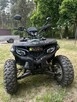 Quad Polar 250cc - 4