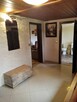 Domek w lesie -agroturystyka - 13