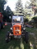 Sprzedam traktor ursus c360 - 3