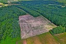 Działka rolna Uściąż gm. Karczmiska, Uściąż - 2