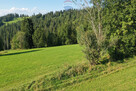DZIAŁKA W RZEPISKACH Z WIDOKIEM NA GÓRY - 4