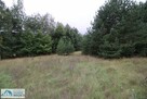 Działka budowlana Piastowo gm. Gąsawa - 3