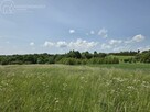 Działka rolna Wójtowa gm. Lipinki - 5