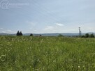 Działka rolna Wójtowa gm. Lipinki - 6