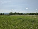 Działka rolna Wójtowa gm. Lipinki - 7