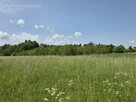 Działka rolna Wójtowa gm. Lipinki - 9