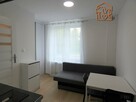 Kawalerka pet-friendly w Centrum-Dąbrowskiego 30A - 1