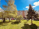 Piękne mieszkanie |2 pokoje + kuchnia| DO WEJŚCIA - 12