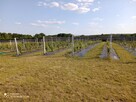 Działka z linią brzegową jeziora/ plażą i winnicą - 6