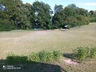Działka z linią brzegową jeziora/ plażą i winnicą - 14