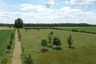 Teren 1,14 ha Korabiewice gm. Puszcza Mariańska - 11