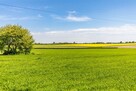 Działka rolna Maszki K. Wojciechowa gm. Wojciechów, - 4
