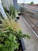 3 pokojowe mieszkanie Binków, duży balkon, pełne wyposażenie - 9