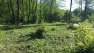 sprzedam - 1