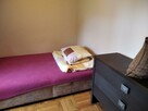 Domek w lesie -agroturystyka - 11