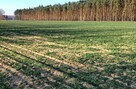 Sprzedam działkę - 2