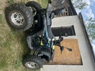 Quad Polar 250cc - 1