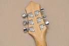 Gitara elektryczna PEAVEY - Orange County Chopper - 12