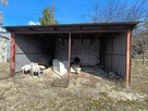 Syndyk sprzeda grunt - Obrońców Pokoju, Zamość - 70% - 7